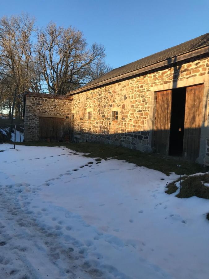 Maison De Famille Au Plateau Du Mezenc Les Vastres Eksteriør billede