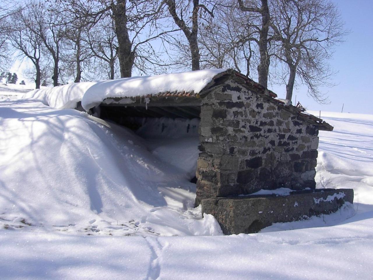 Maison De Famille Au Plateau Du Mezenc Les Vastres Eksteriør billede